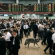 Chińskie rynki tracą biliony dolarów. Wyścig AI z USA pogłębia presję gospodarczą